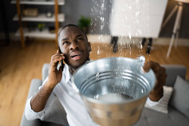 Best Water damage cleanup near me  in Emerald Bay, TX