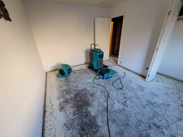 Best Sewage cleanup and water damage restoration  in Emerald Bay, TX