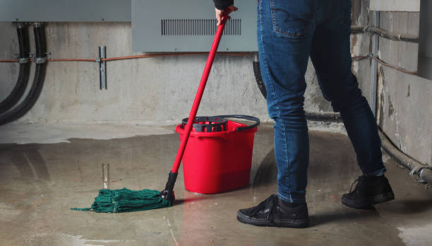 Best Sewage cleanup and water damage restoration  in Emerald Bay, TX